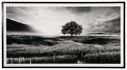 Ashley Furniture Deborland - Black / White - Wall Art | Meri Furniture