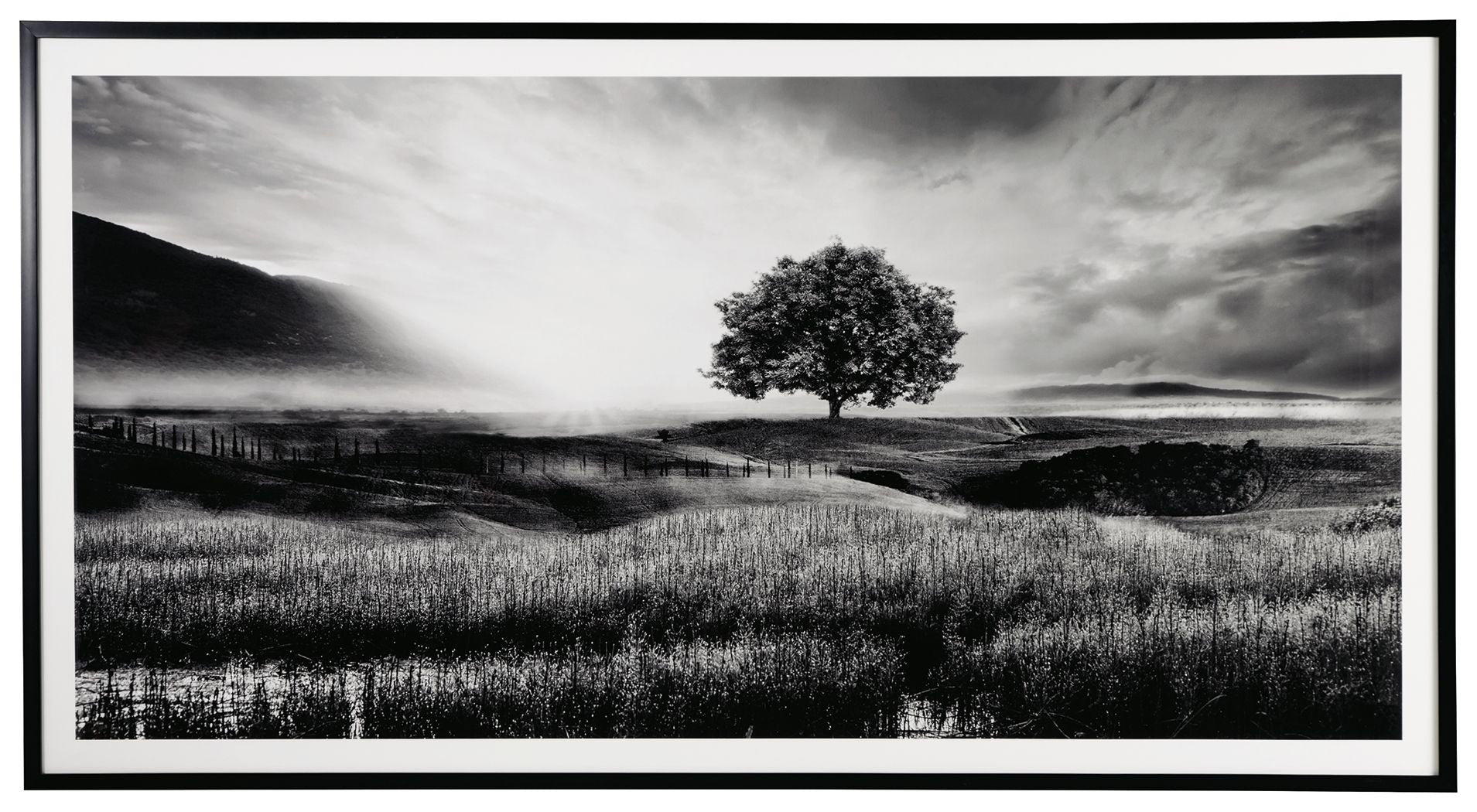 Ashley Furniture Deborland - Black / White - Wall Art | Meri Furniture
