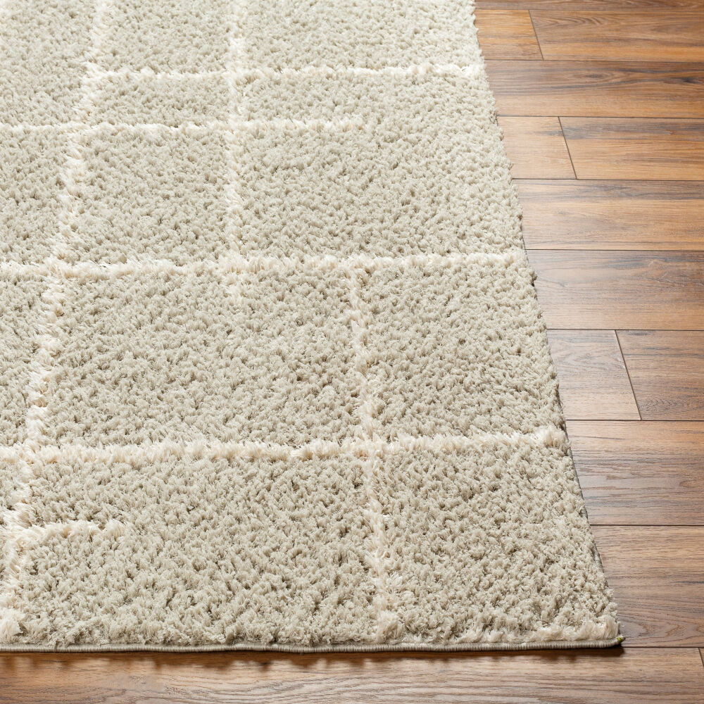Maryland Shag Machine Woven Rug