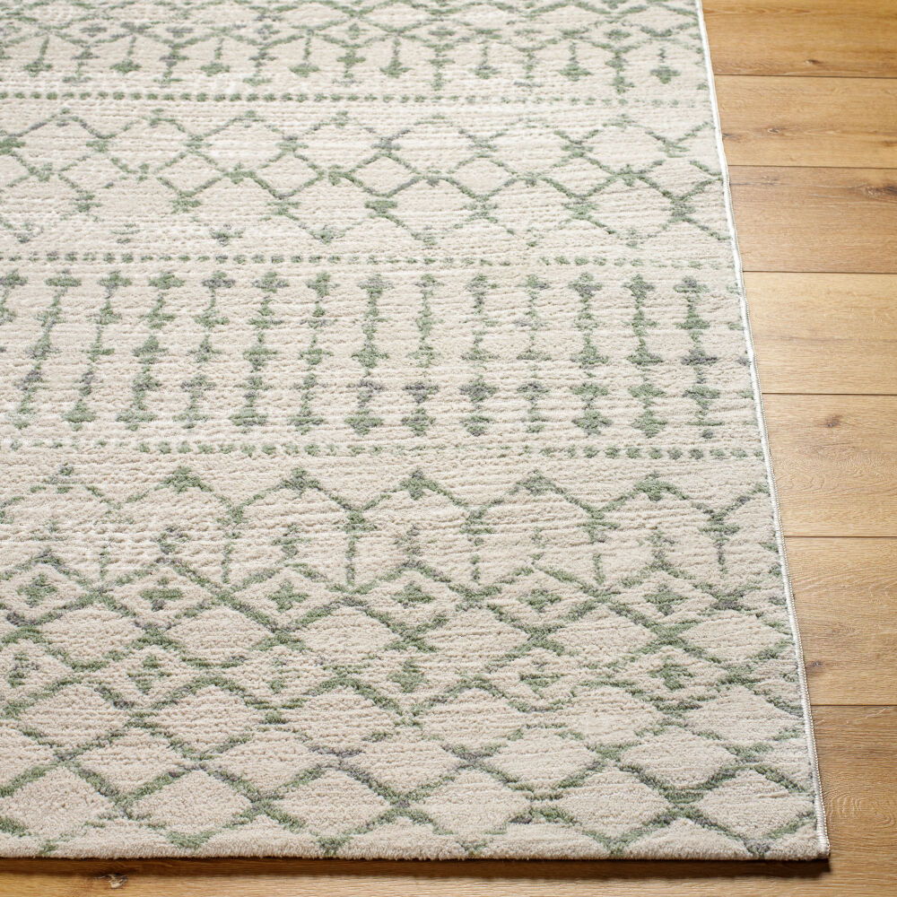 Roma Machine Woven Rug