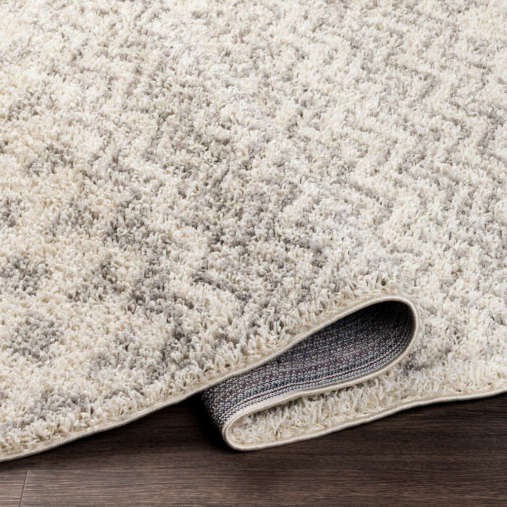 Taza Shag Machine Woven Rug