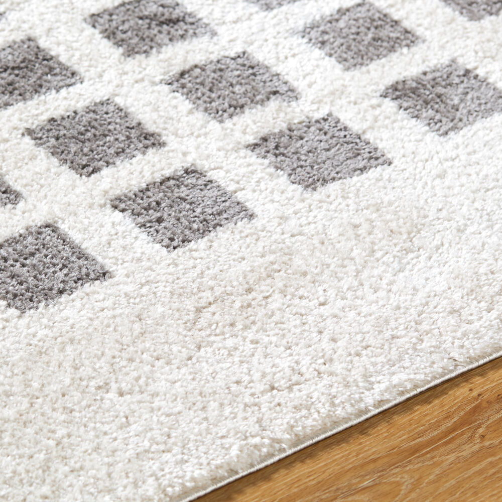 Fossay Shag Machine Woven Rug