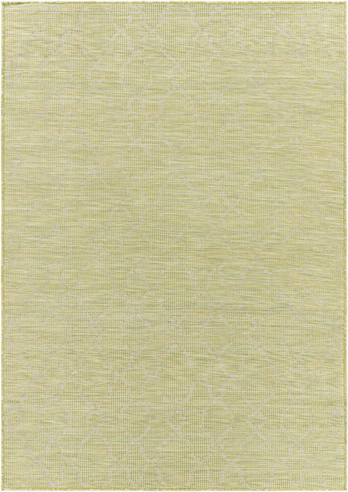 Pasadena Machine Woven Rug
