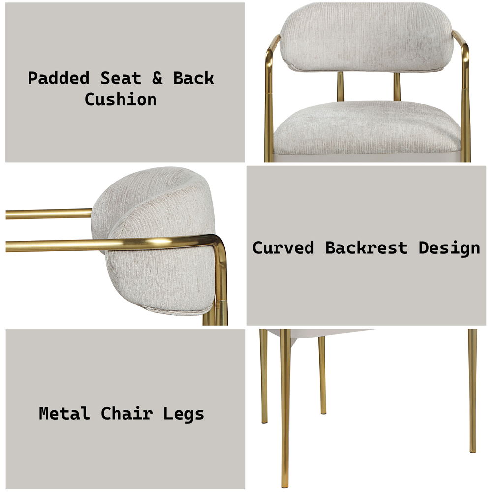 Zayn - Arm Chair Set of 2) - Beige Chenille & Gold