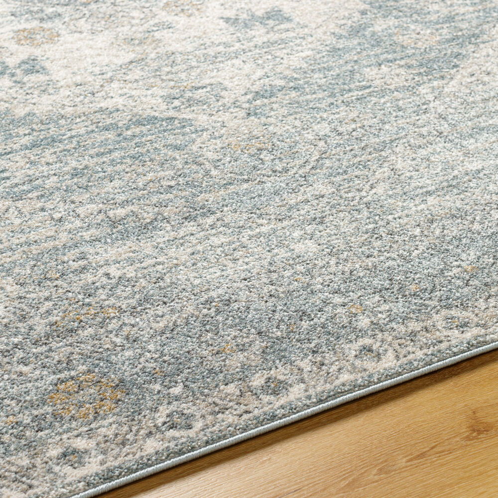 Alpharetta Machine Woven Rug