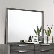 ACME Casimiro - Mirror - Gray | Meri Furniture