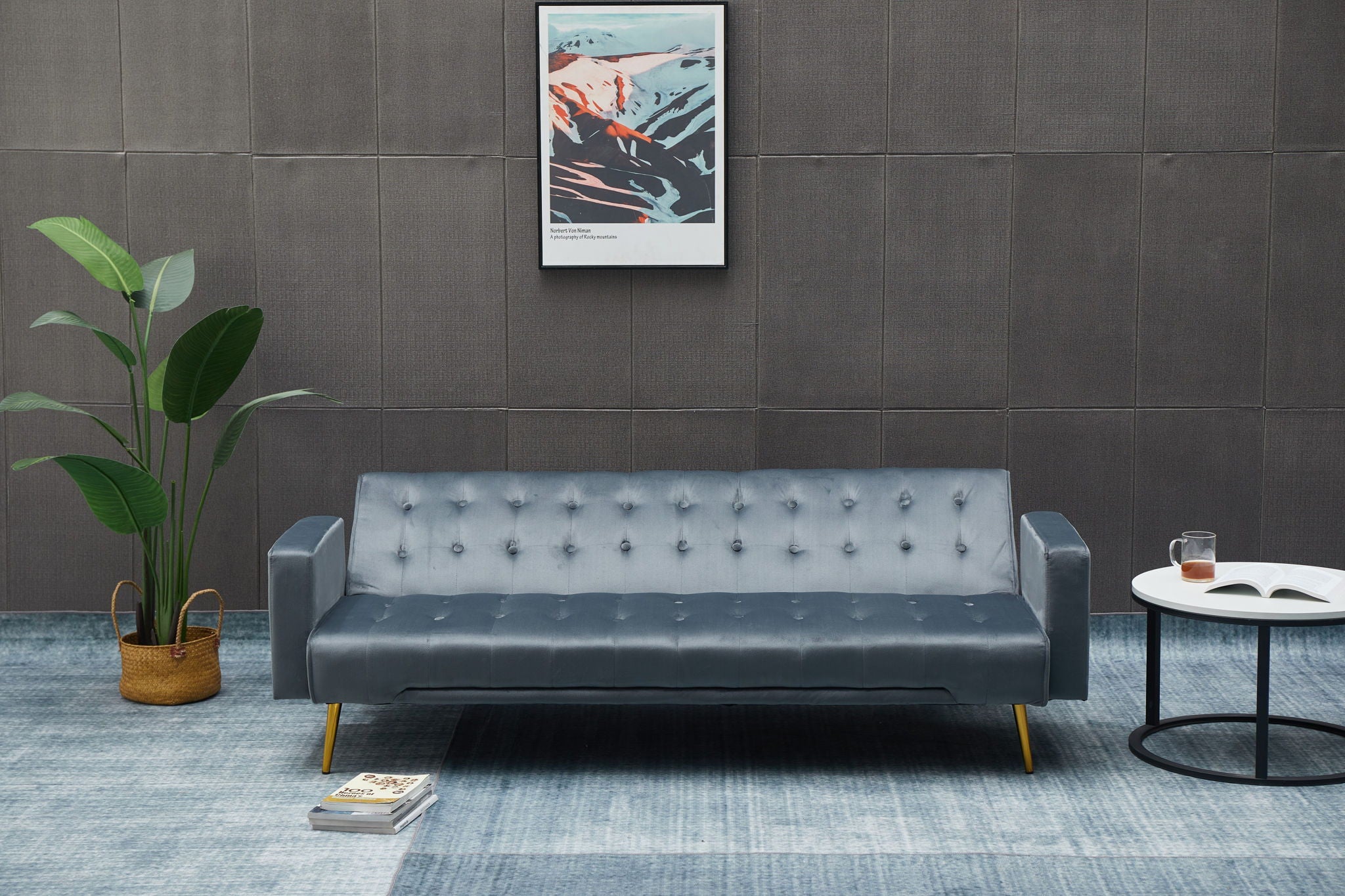 Comfort Compact Design Sofa Bed