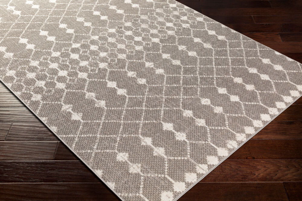 Rafetus Machine Woven Rug