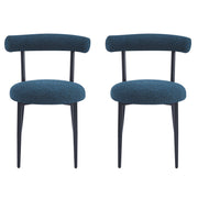 Modern Dining Room Chairs (Set of 2)