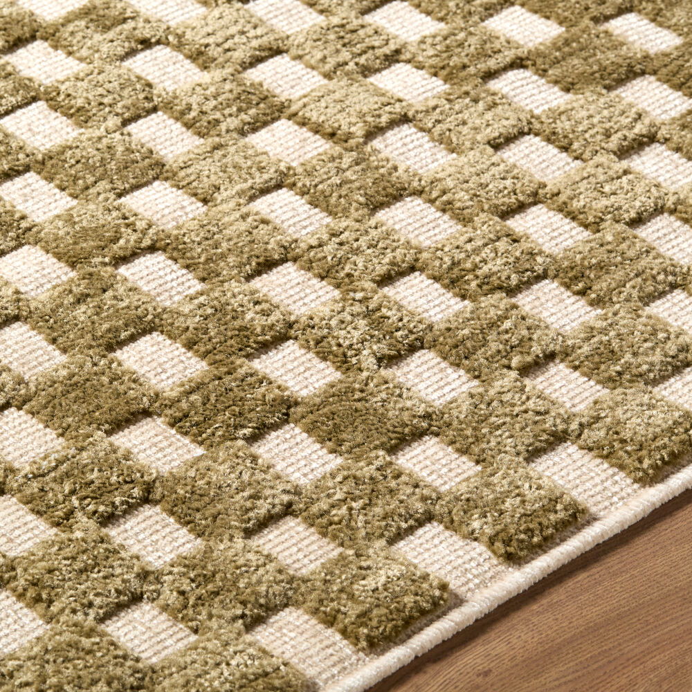 Lyna Machine Woven Rug