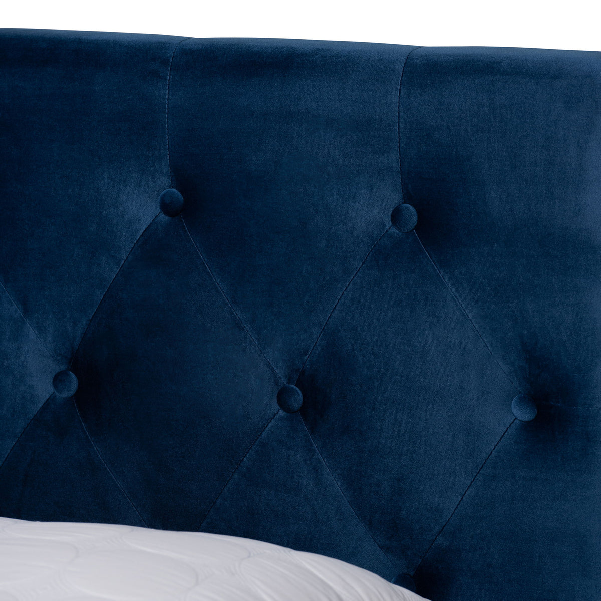 Caronia Modern and Contemporary Navy Blue Velvet Fabric Upholstered 2-Drawer Queen Size Platform Storage Bed