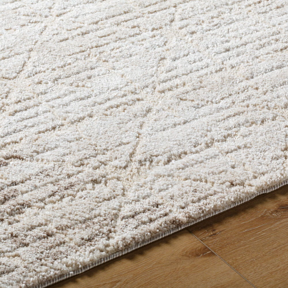 Andorra Plus Machine Woven Rug