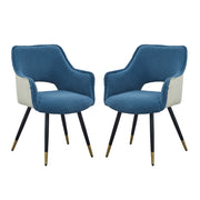 Side Chair, Living Room Bedroom Kitchen Vanity Accent Chair (Set of 2) - Blue