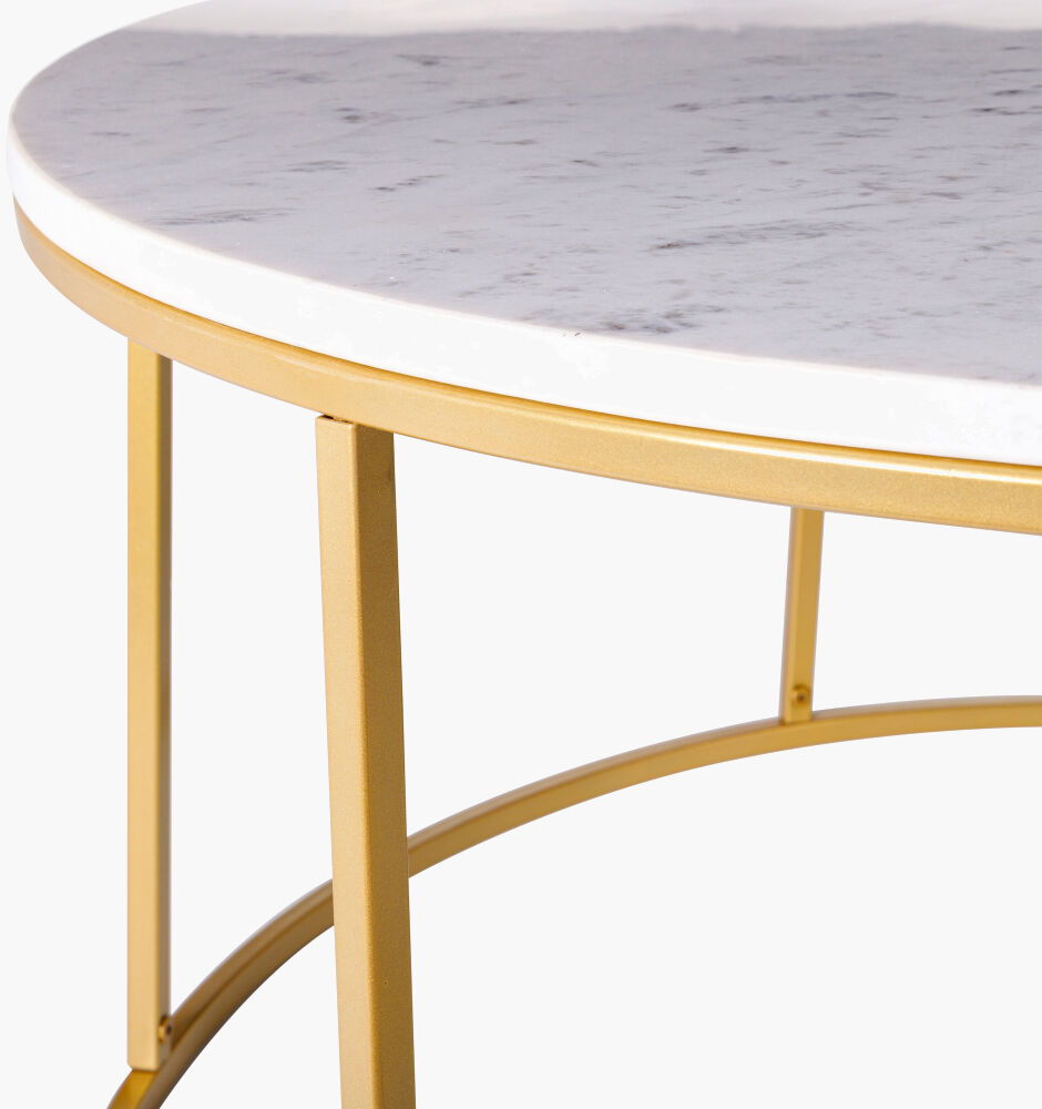 Aryaa Coffee Table