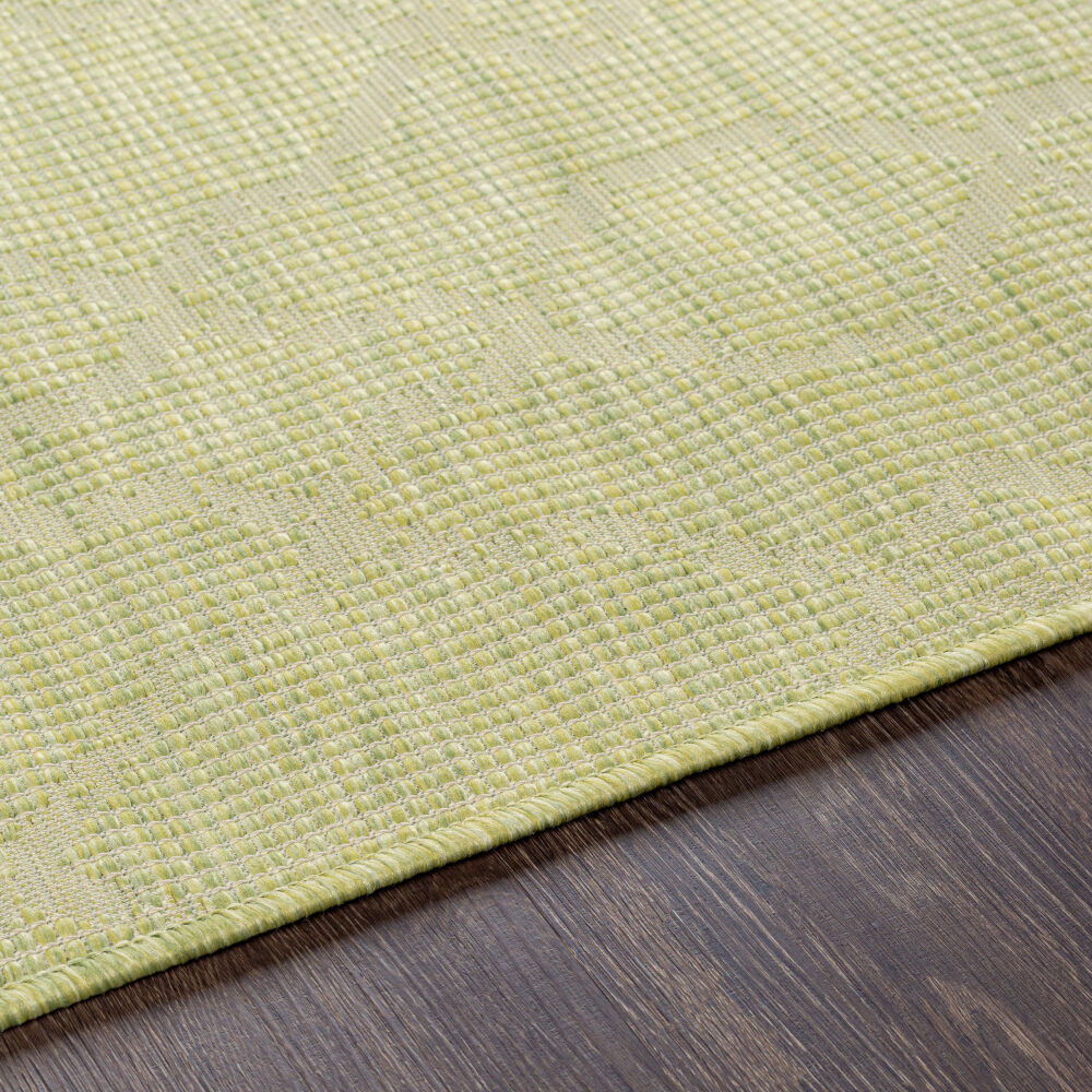 Pasadena Machine Woven Rug