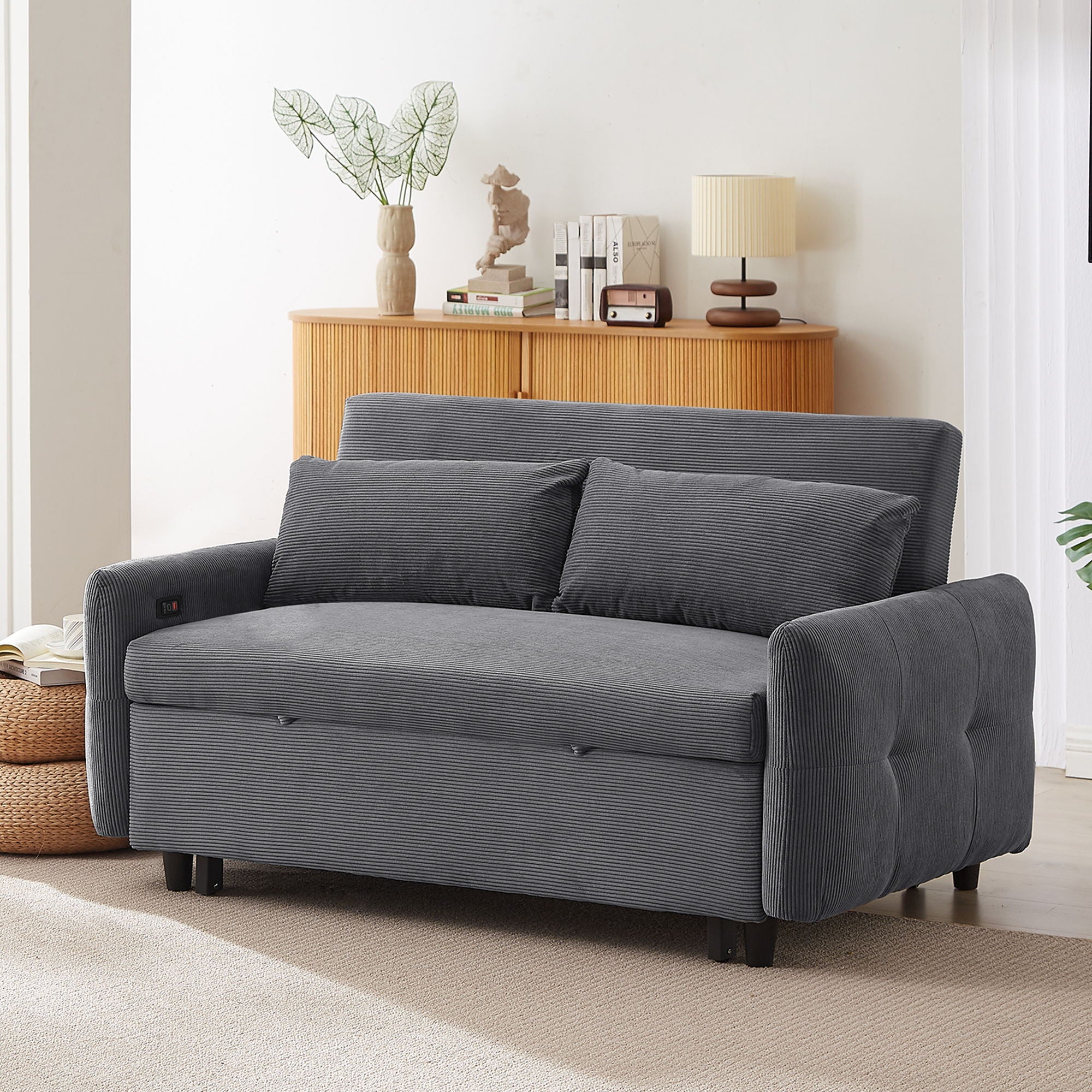 Pull-Out 2 Seat Modern Sleeper Sofa With 2 Throw Pillows And USB Ports