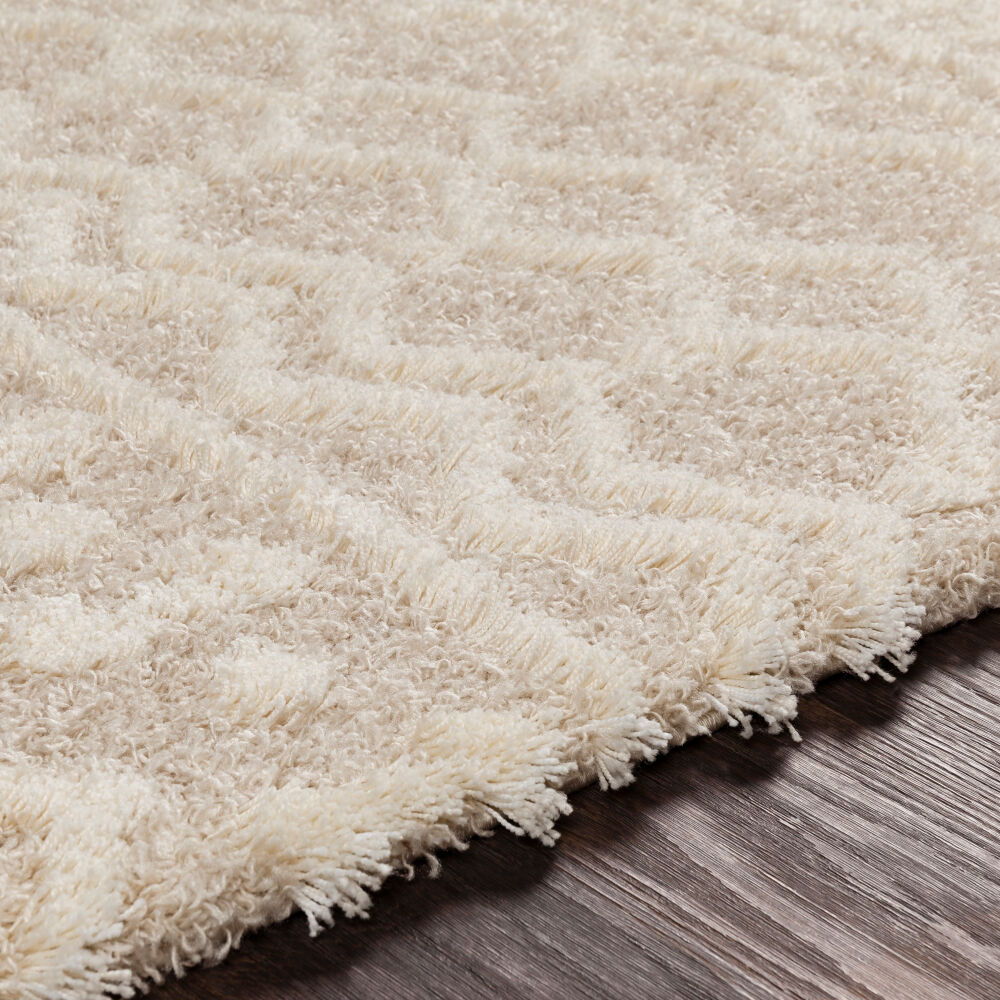 Urban Shag Machine Woven Rug