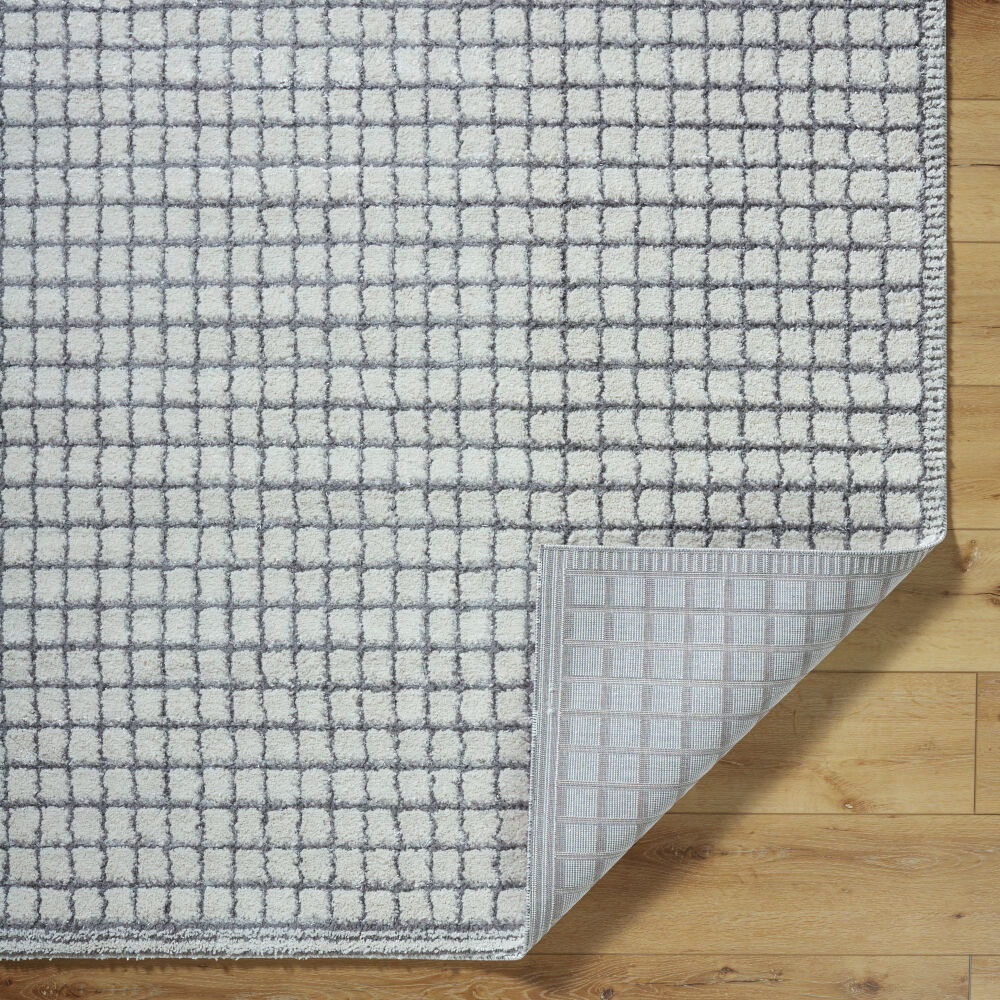 Andorra Plus Machine Woven Rug