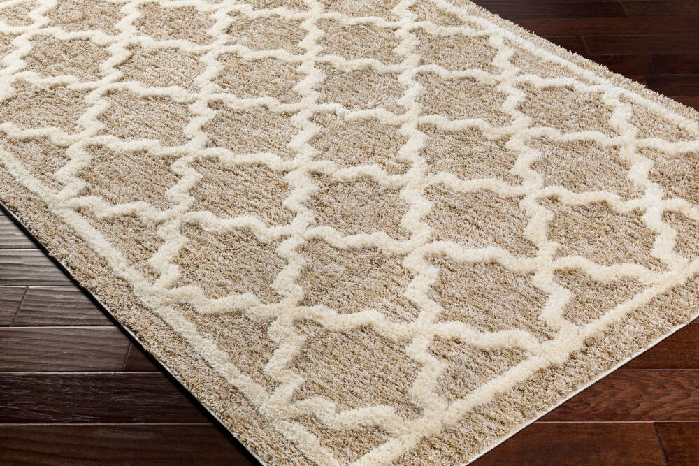 Florida Machine Woven Rug