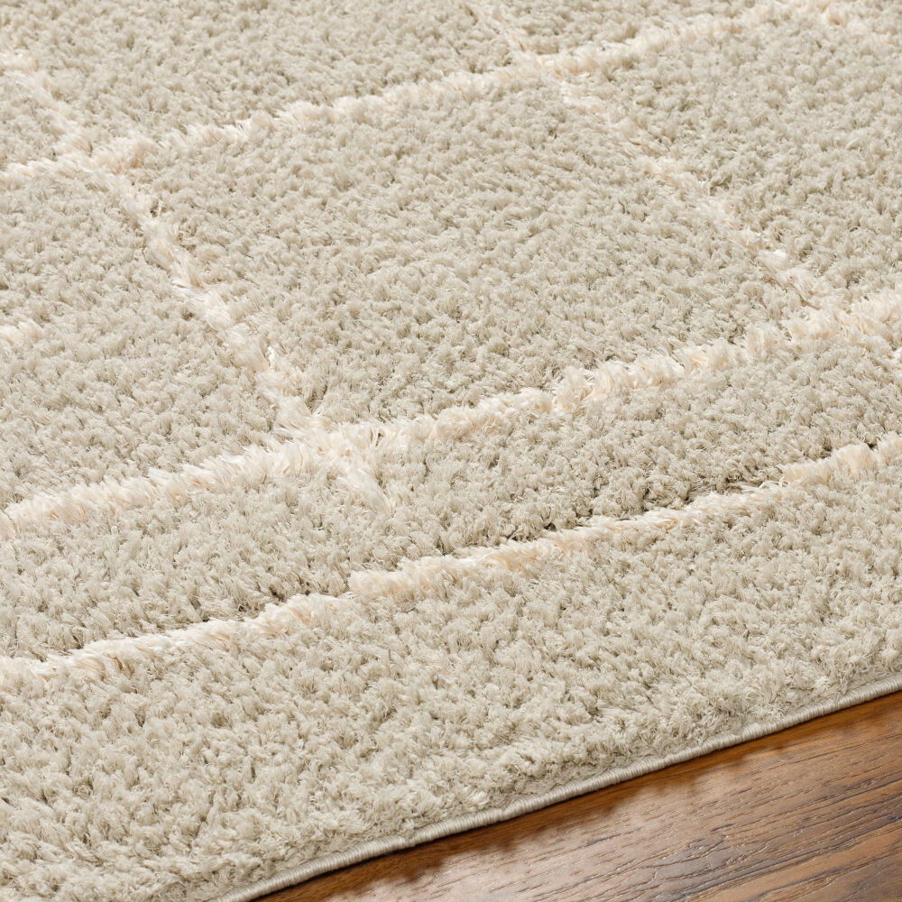 Maryland Shag Machine Woven Rug