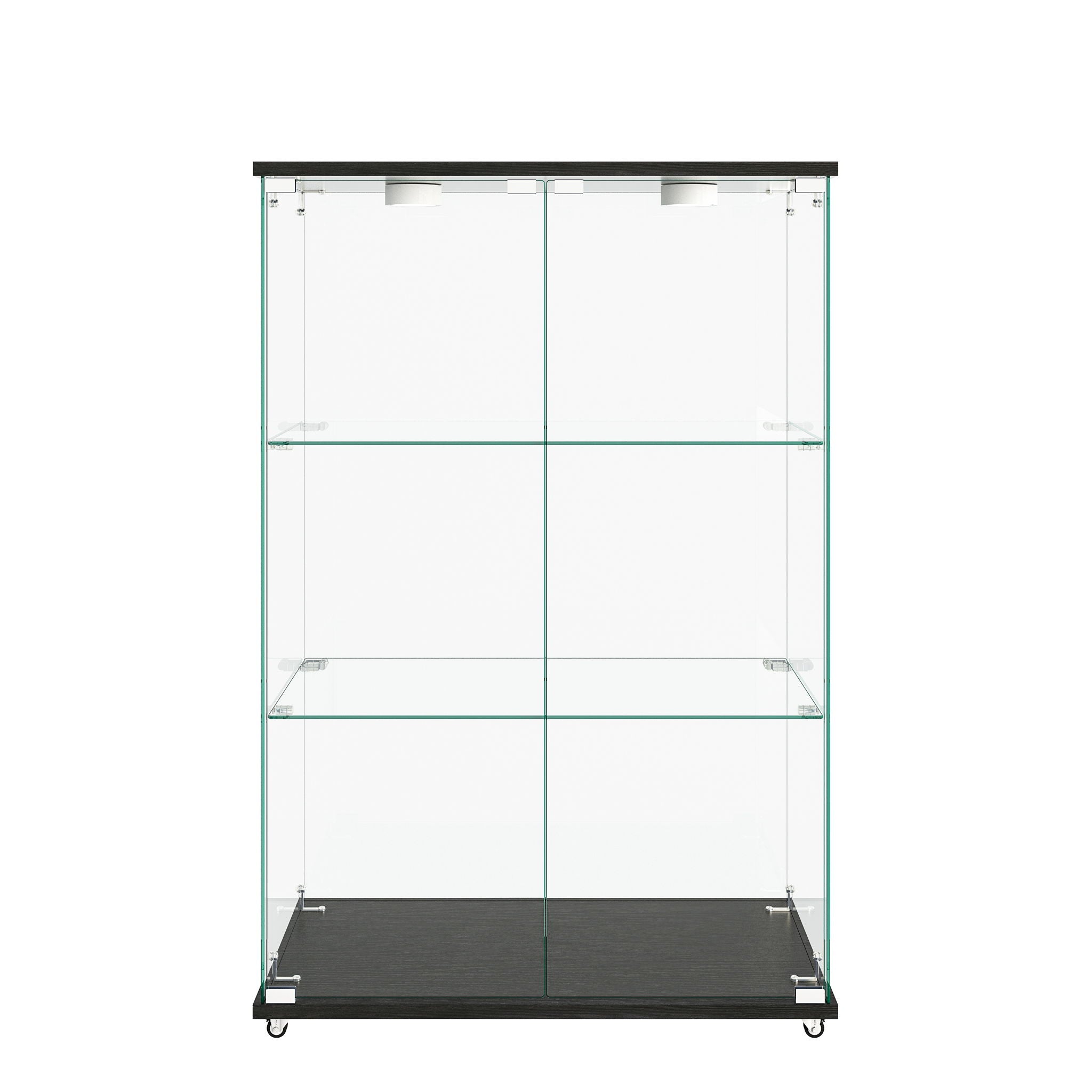 Modern Display Cabinet With LED Lights, Transparent Tempered Glass 2 Door Storage Case With 3 Shelves