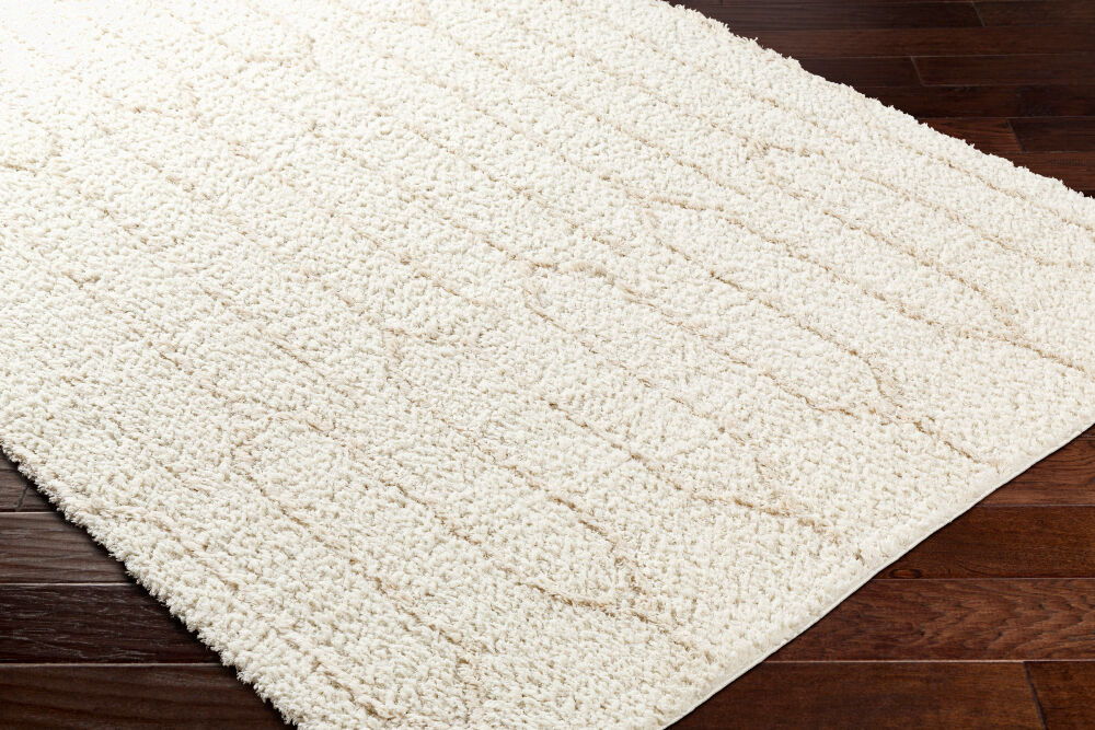 Maryland Shag Machine Woven Rug