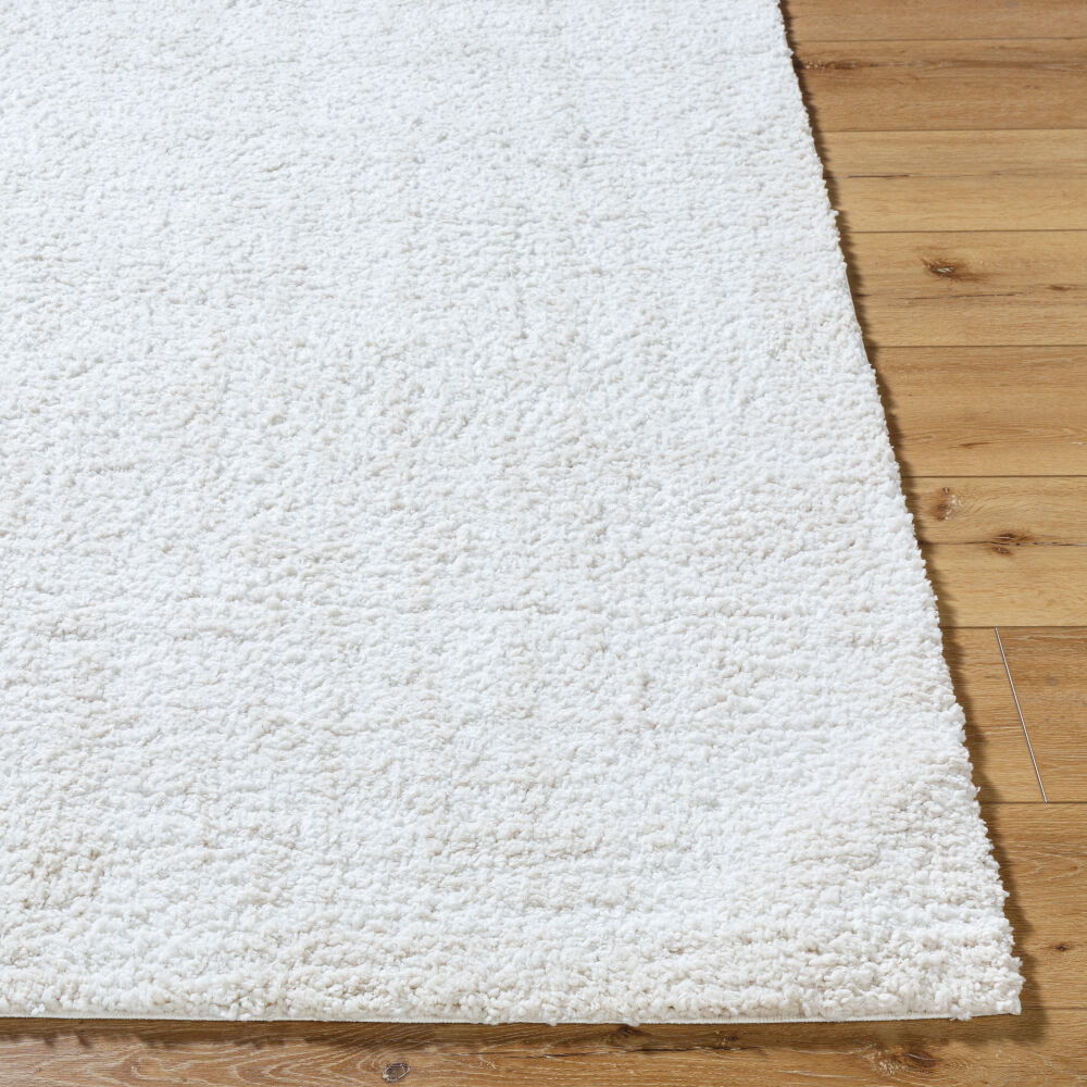 Sacramento Shag Machine Woven Rug