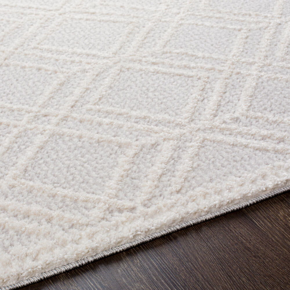 Valencia Machine Woven Rug