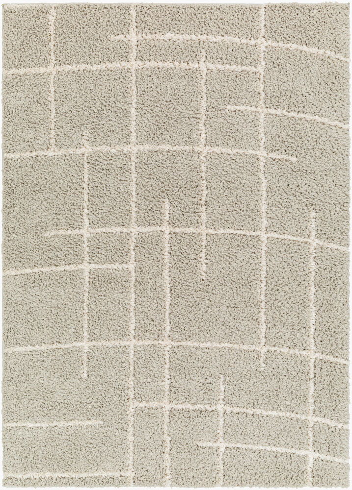 Maryland Shag Machine Woven Rug