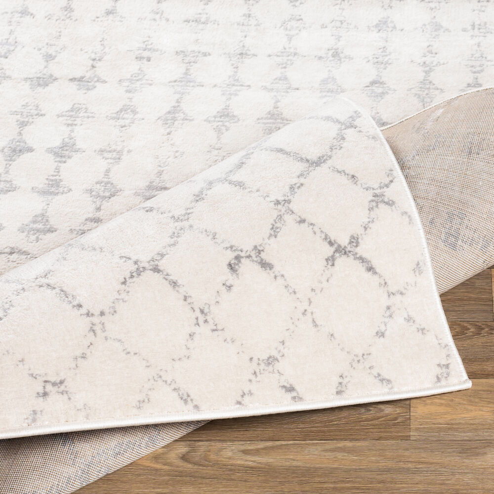 Roma Machine Woven Rug