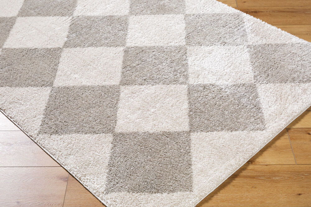 Fossay Shag Machine Woven Rug