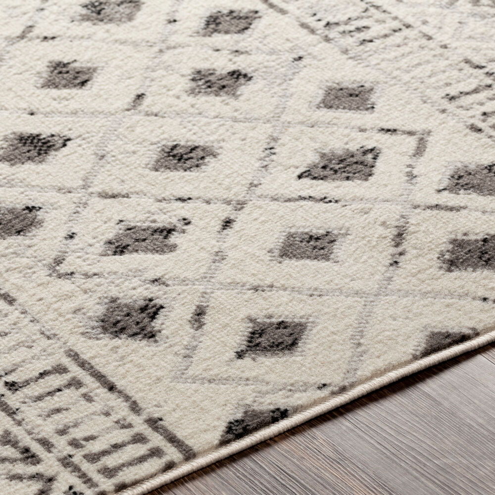 Pisa Machine Woven Rug