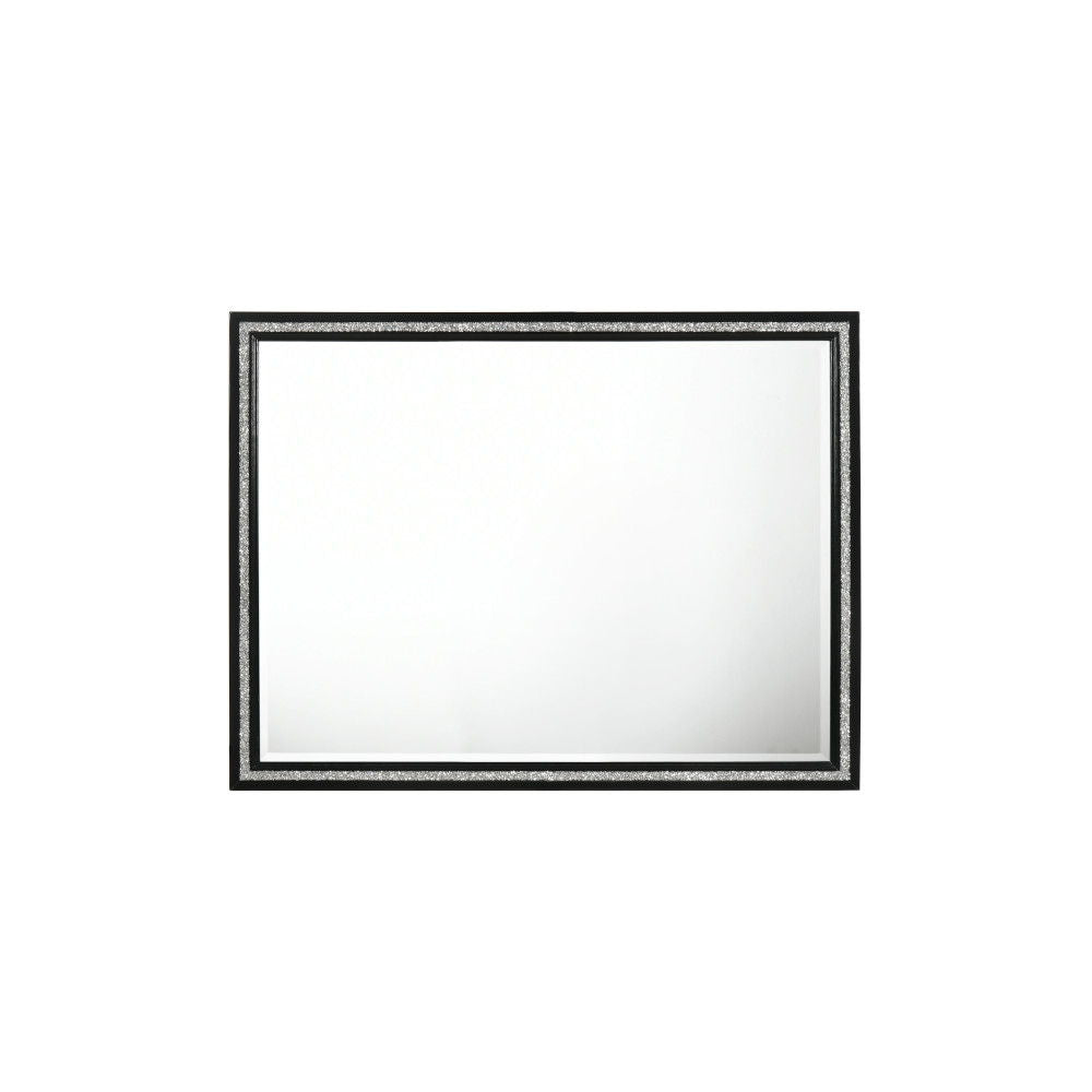 ACME Haiden - Mirror | Meri Furniture