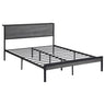 Ricky - Metal Panel Bed