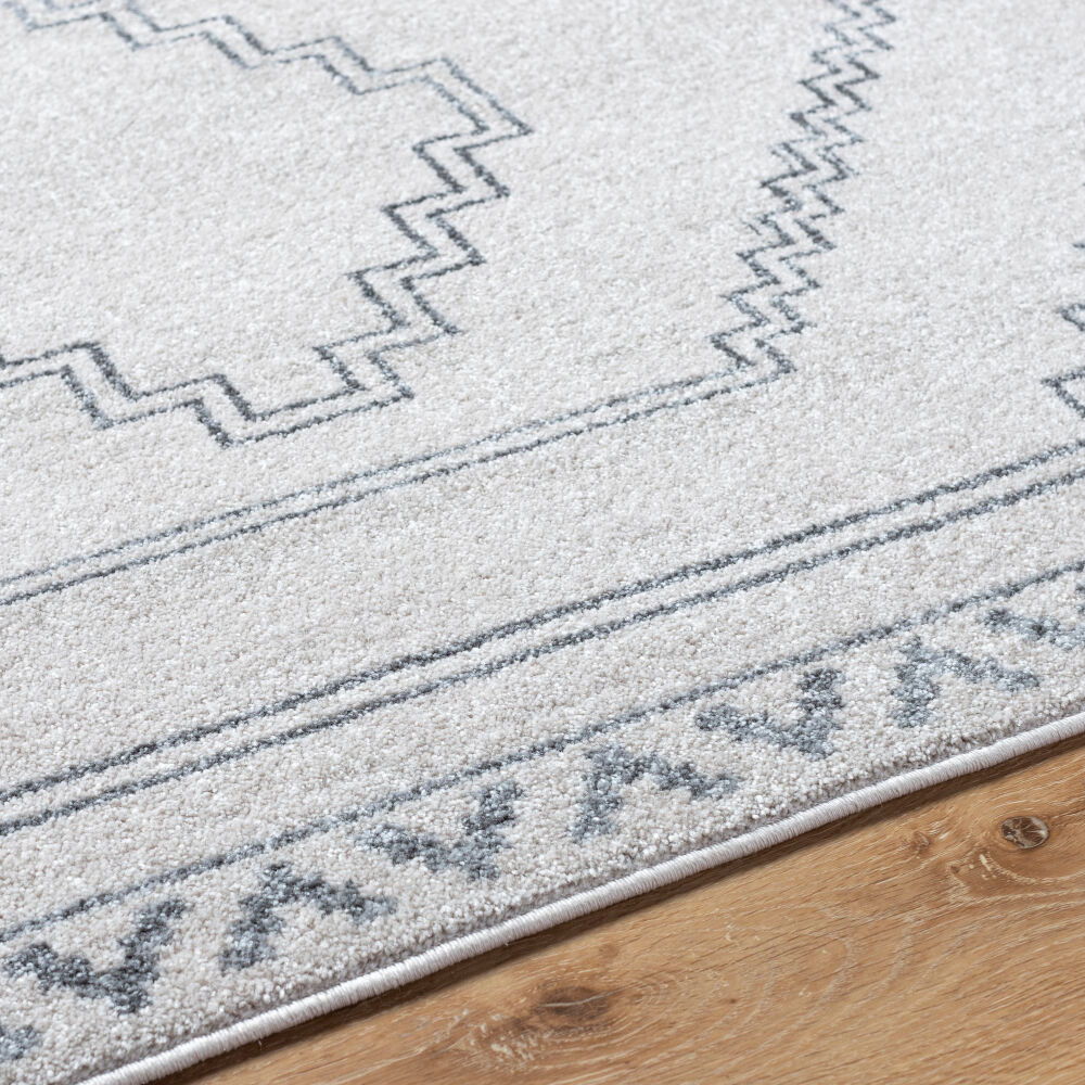 Alpharetta Machine Woven Rug