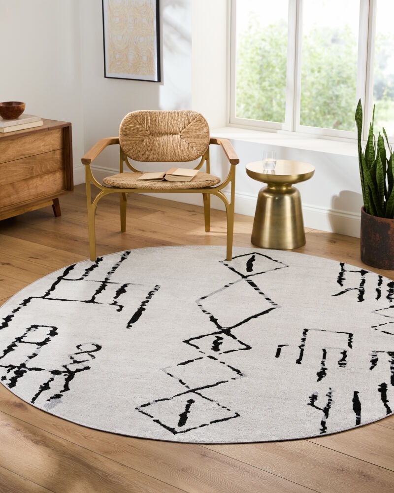 Lavadora Machine Woven Rug
