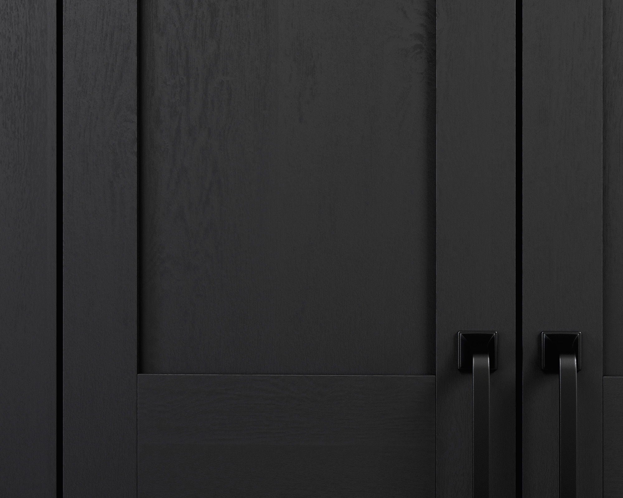 Two-Door Storage Cabinet in Raven Oak