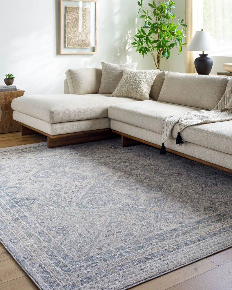Alpharetta Machine Woven Rug
