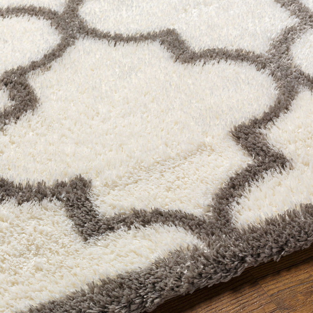 Cloudy Shag Machine Woven Rug