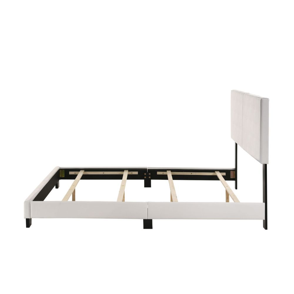 ACME Lien - Bed | Meri Furniture