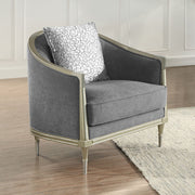 Fernando - Chair With Pillow - Gray Chenille & Champagne