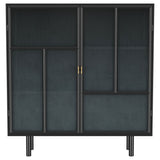 Dalia - 2 Door Accent Storage Cabinet With Shelving - Black