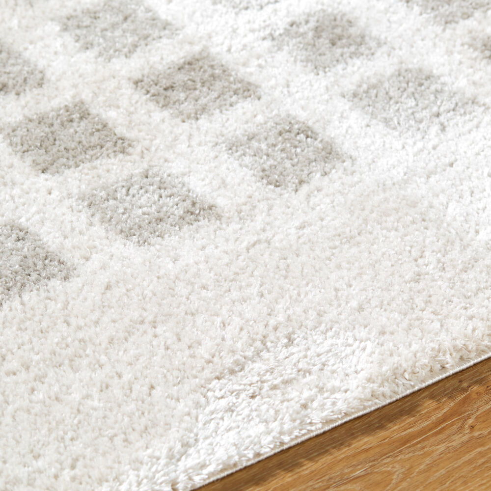 Fossay Shag Machine Woven Rug