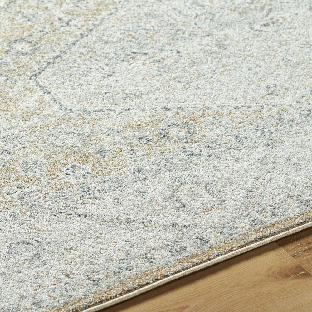 Alpharetta Machine Woven Rug