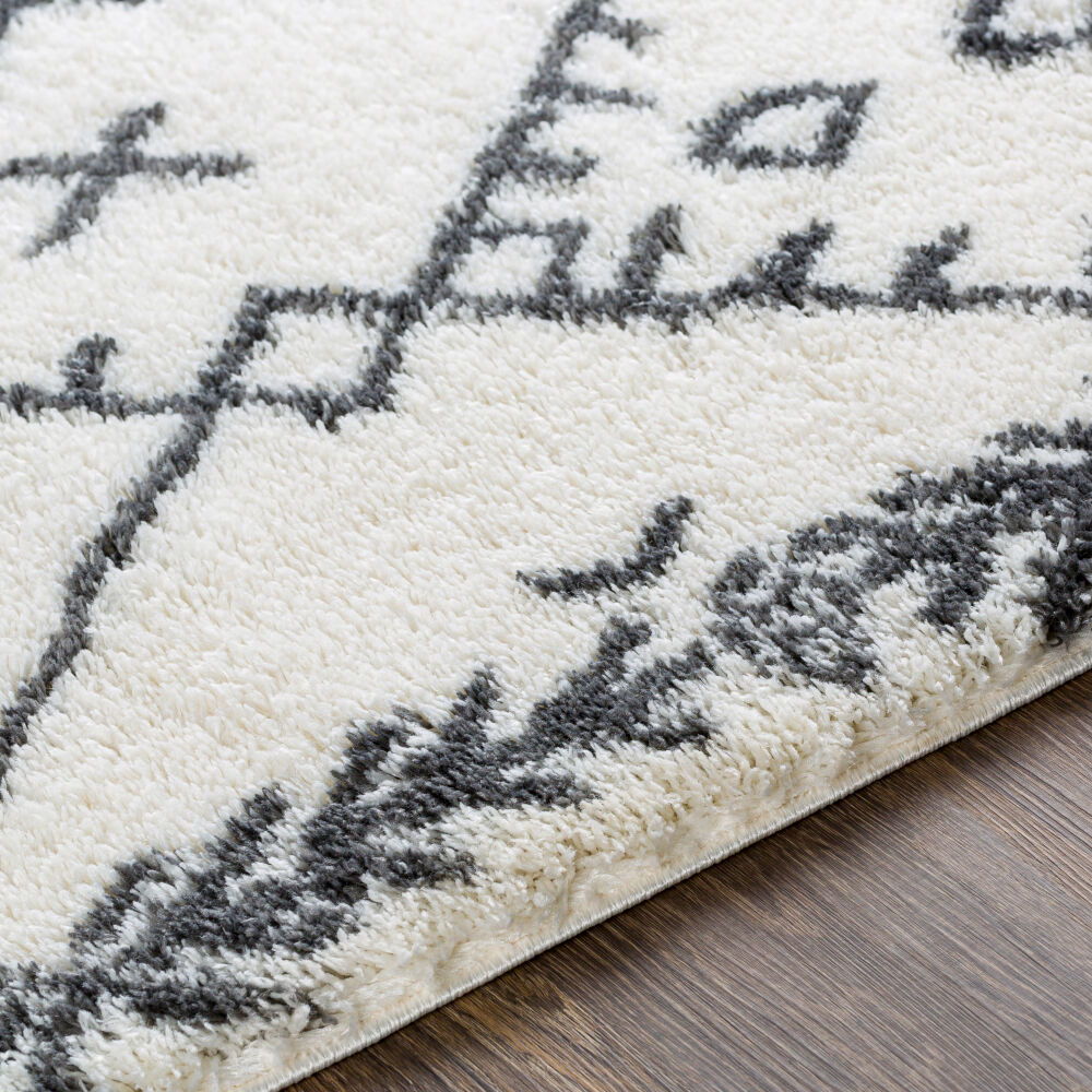Aliyah Shag Machine Woven Rug