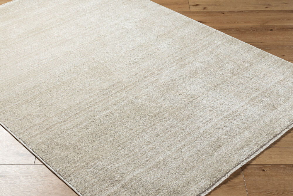 Rojin Machine Woven Rug