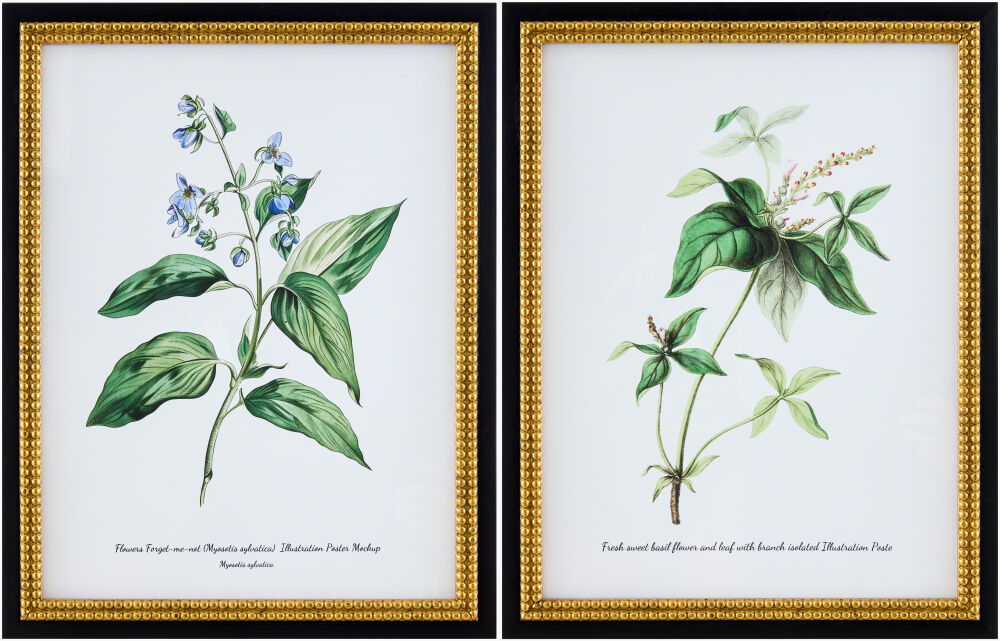 Midsummer Framed Art (Set of 2)