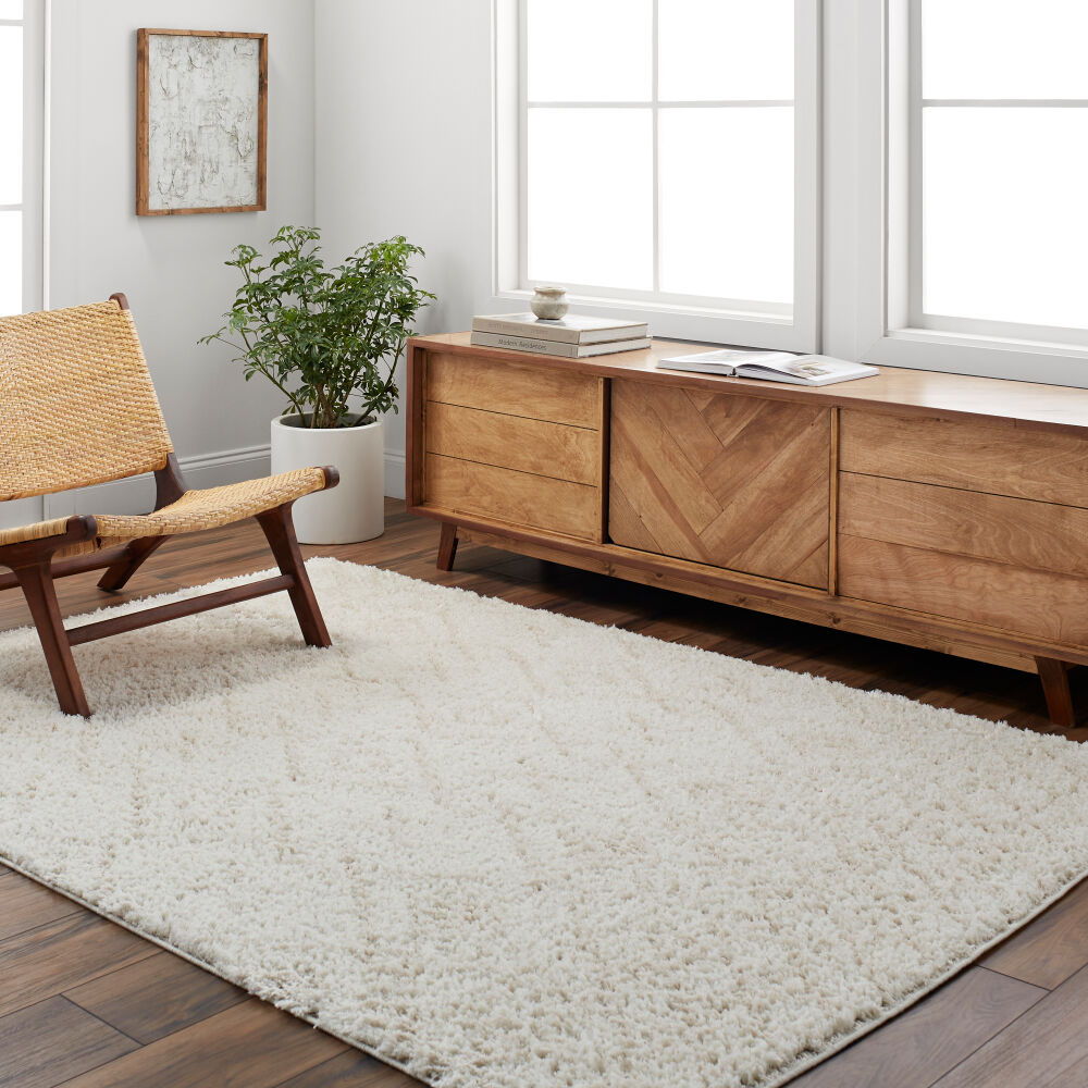 Maryland Shag Machine Woven Rug