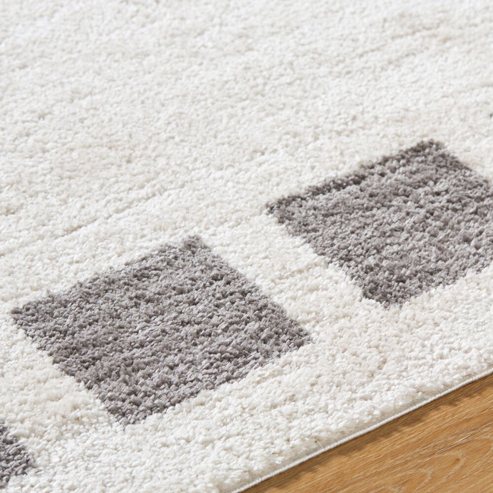 Fossay Shag Machine Woven Rug