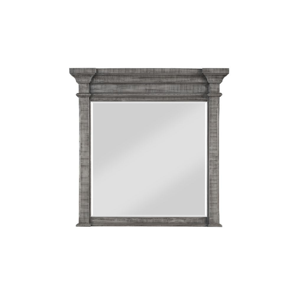 ACME Artesia - Mirror - Salvaged Natural | Meri Furniture